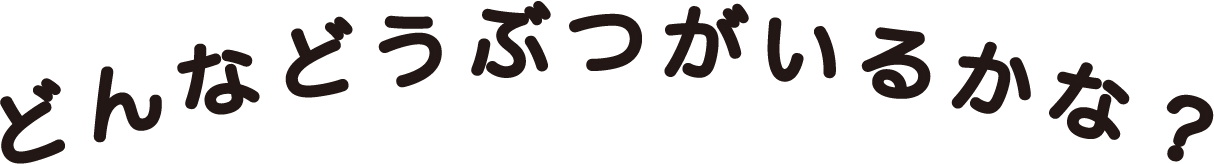 どんなどうぶつがいるかな？