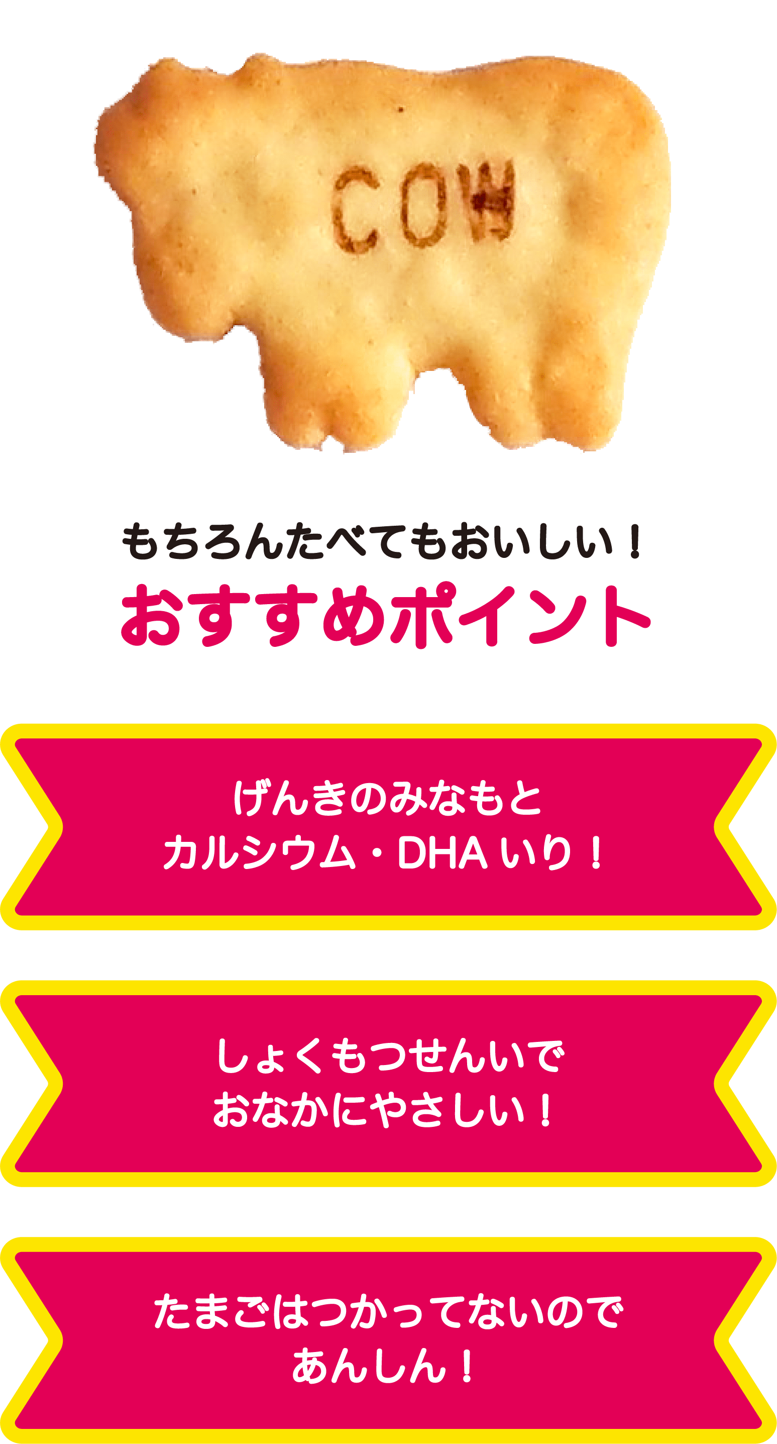 おすすめポイント