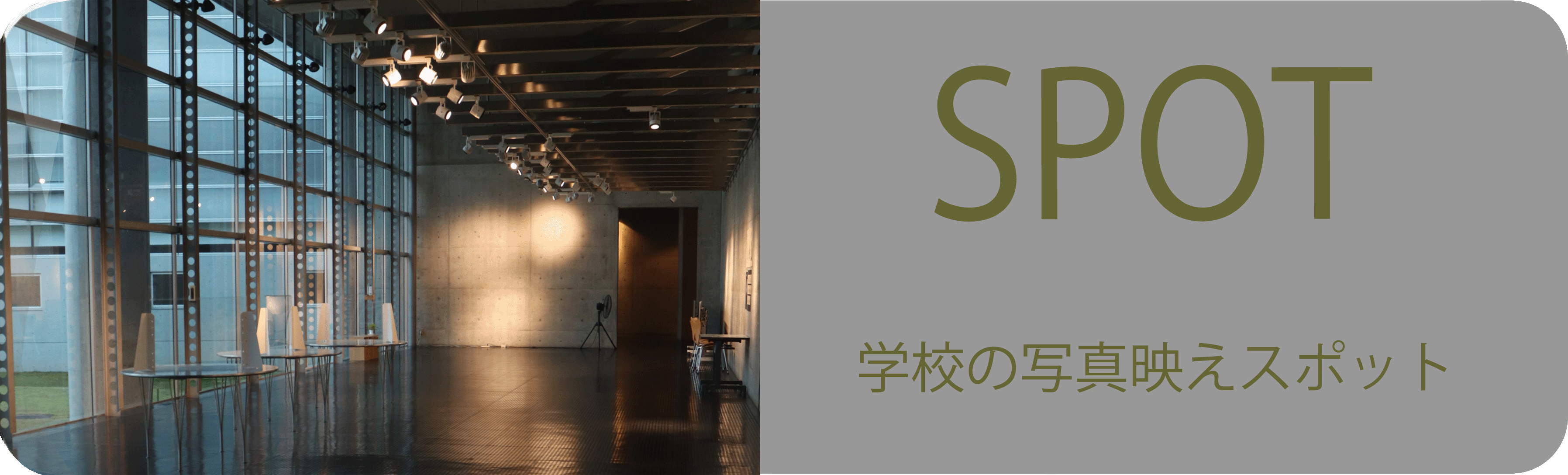 スポットボタン